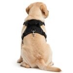 Adjustable Dog Collar & Leash Set – Comfortable Puppy Harness Vest for Small & Medium Dogs, Durable Pet Walking Accessories - Image 4