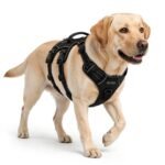Adjustable Dog Collar & Leash Set – Comfortable Puppy Harness Vest for Small & Medium Dogs, Durable Pet Walking Accessories - Image 3