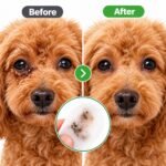 Pet Eye Wipes for Dogs & Cats – 130 Count Tear Stain Remover & Eye Cleaning Wipes, Gentle No-Irritation Wet Wipes for Eye Discharge, Dirt & Daily Pet Grooming - Image 4