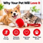 Interactive Pet Ball Toy for Cats & Small Dogs – Smart Self-Rolling Electric Ball with Adjustable Speed, Obstacle Avoidance & Elastic Rope - Image 2