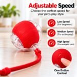 Interactive Pet Ball Toy for Cats & Small Dogs – Smart Self-Rolling Electric Ball with Adjustable Speed, Obstacle Avoidance & Elastic Rope - Image 6